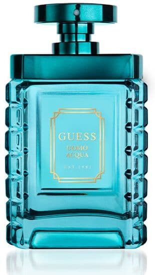 Guess Uomo Acqua 100ML