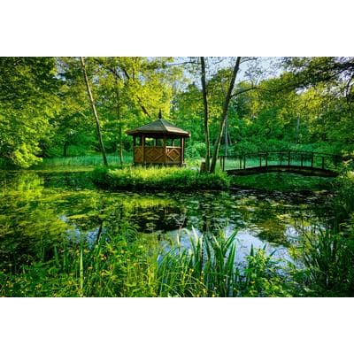 Fototapete PAPERMOON "GARTEN-BLUMEN BÄUME PFLANZEN PARK STEINE BLÜTEN WALD", bunt, B:3m L:2,23m, Vlies, Tapeten