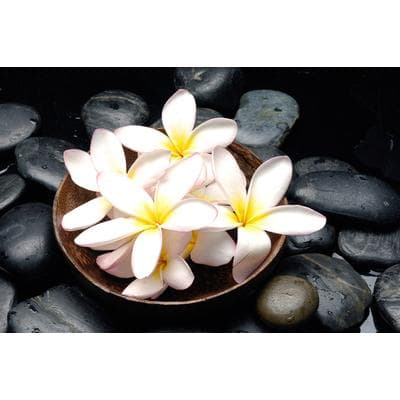 Fototapete PAPERMOON "Blumen mit Steinen", bunt, B:2m L:1,49m, Vlies, Tapeten