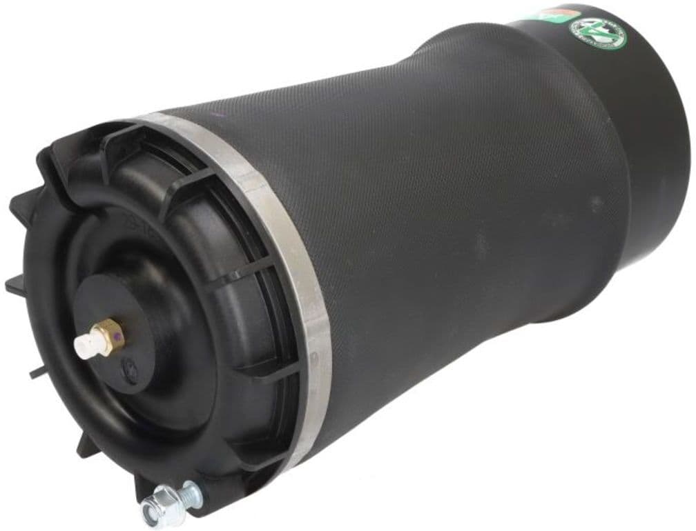 Arnott Molla pneumatica, telaio EUROPE A-4008