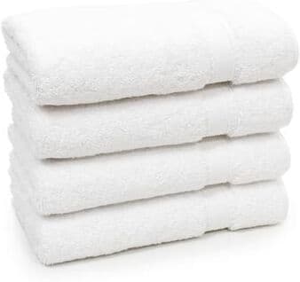 Authentic Hotel and Spa Authentic Hotel Spa Turkish Cotton Hand Towels (Set of 4)