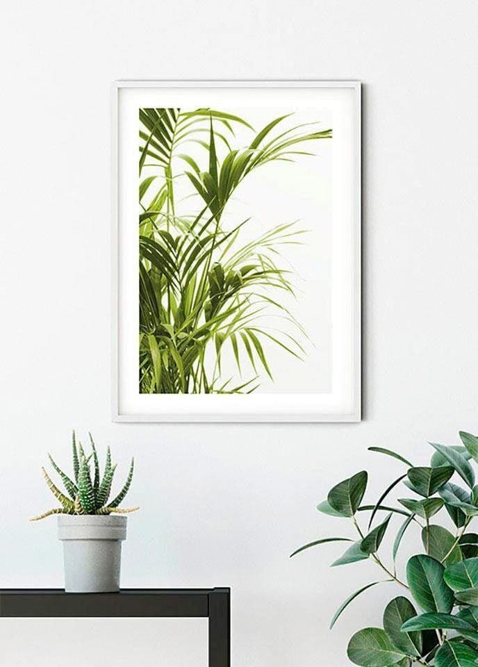 Bild KOMAR "Reed Leaves", bunt (farbe bild(er): bunt), B:40cm H:50cm, Holz, Papier, Bilder, Bild, Wandbild zur Dekoration - ohne Rahmen farbe bild(er): bunt B/H/T: 40cm x 50cm, Blätter Pflanzen, 1 Stk.