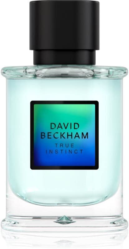 David Beckham True Instinct Eau de Parfum για άντρες 50 ml