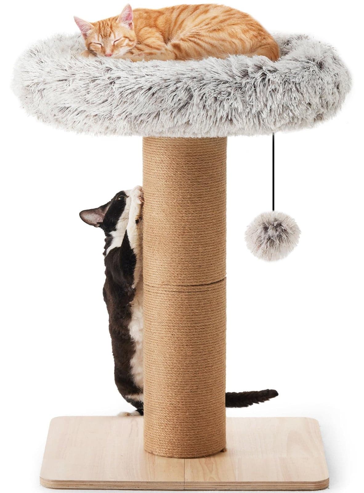 Merkloze Kat Krabpaal met Bed en Jute Touw