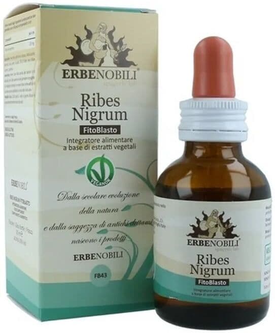 Erbenobili Fitoblasto Ribes Nigrum 50 ml