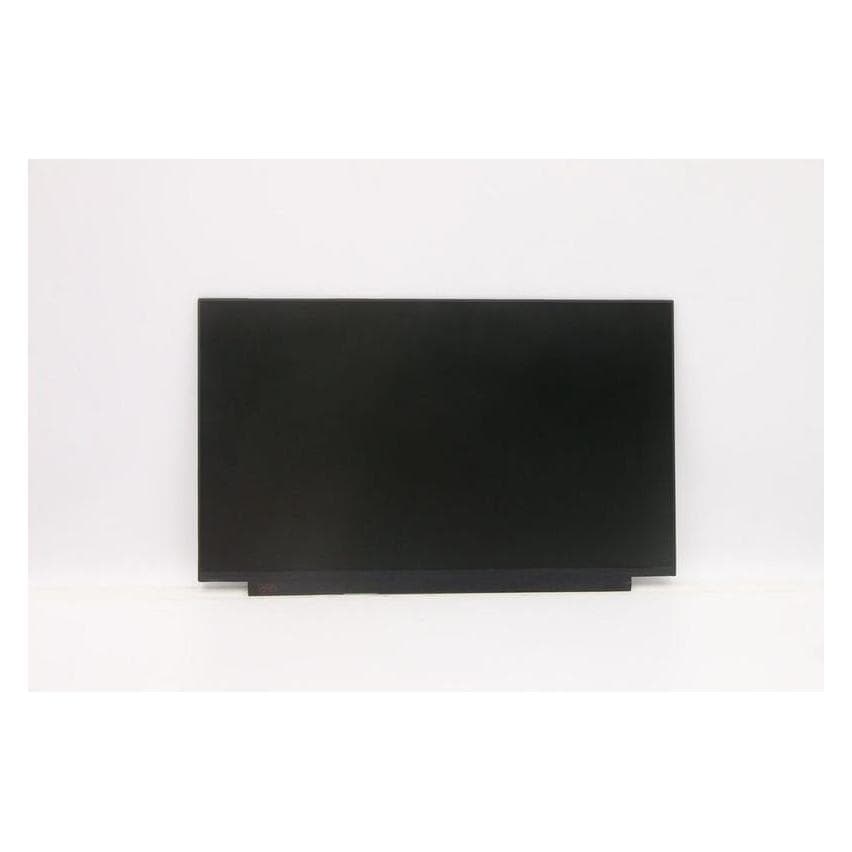 Lenovo Thor DISPLAY 15.6" HD TN 220nit 45%CG non-brac (5D10W35431)