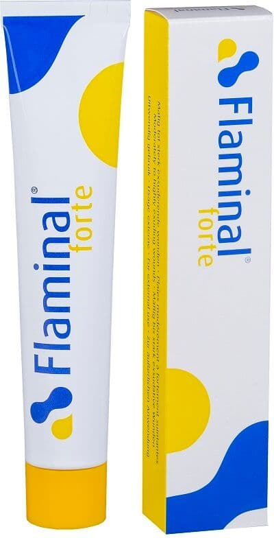 FLEN HEALTH Srl FLAMINAL FORTE 25G