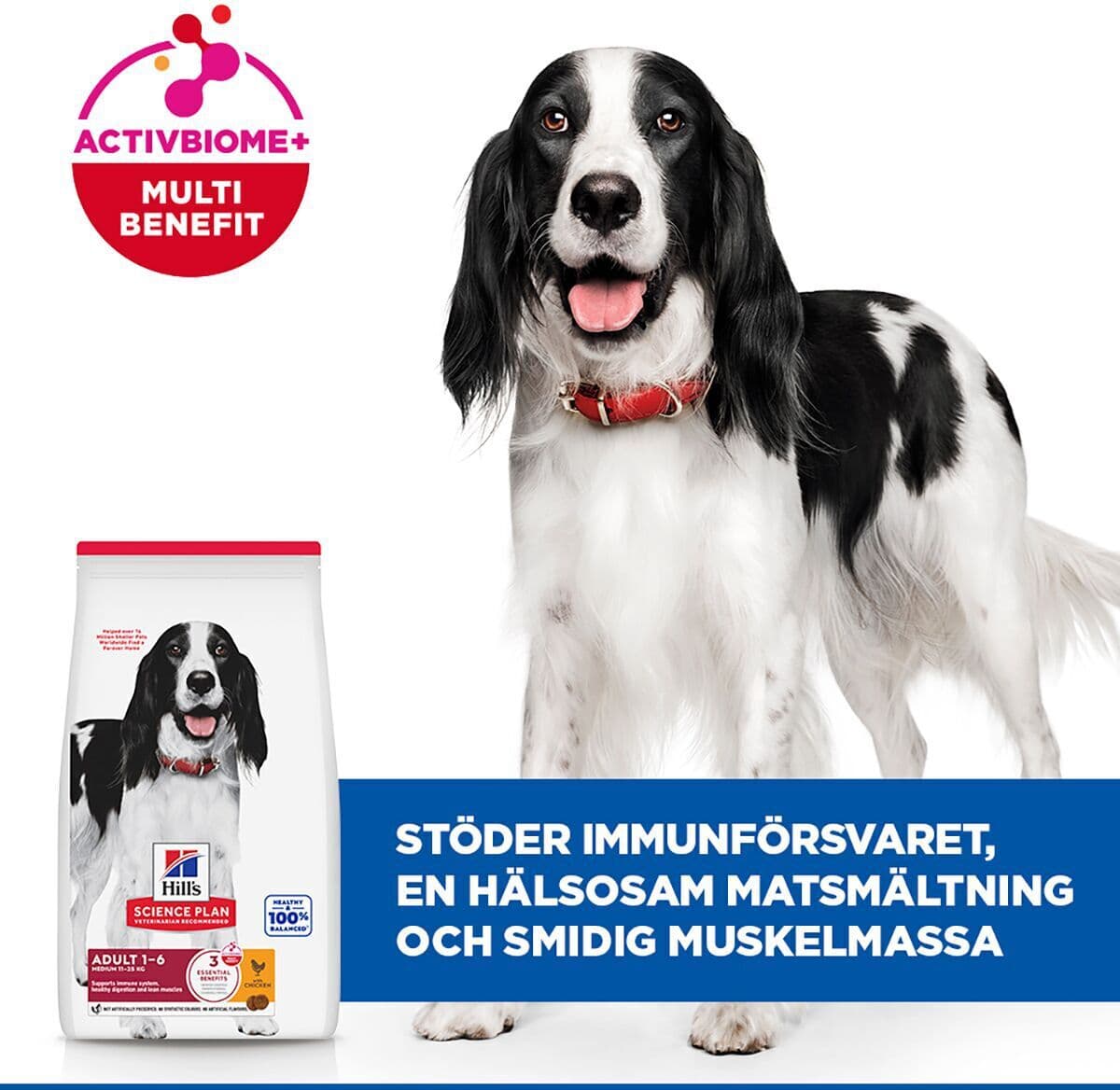 Hill'S Science Plan Dog Adult Medium Chicken 6kg