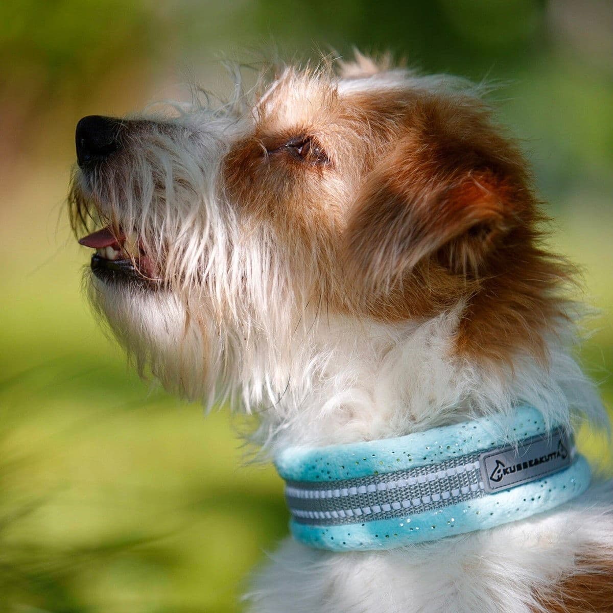 Kusse & Kutta Hundhalsband Brett Glitter Ljusblå 8