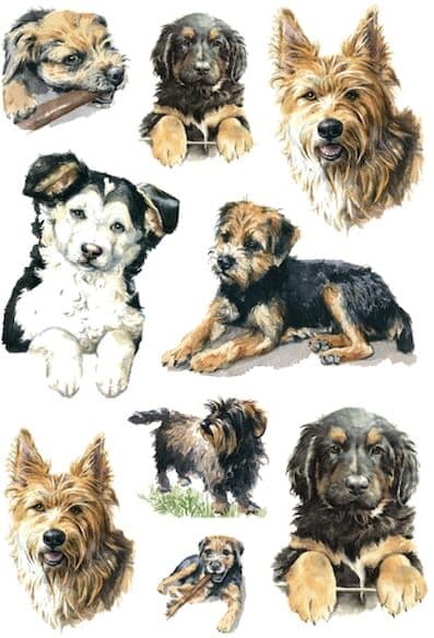 Herma stickers Decor hundar (3) 10st