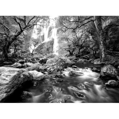 Fototapete PAPERMOON "Wasserfall im Wald Schwarz & Weiß", schwarz (schwarz, weiß), B:5m L:2,8m, Vlies, Tapeten