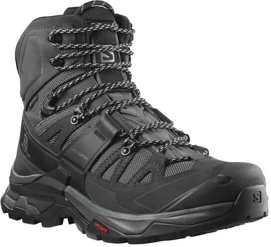Salomon Quest 4 GTX Mens, Magnet / Black 44