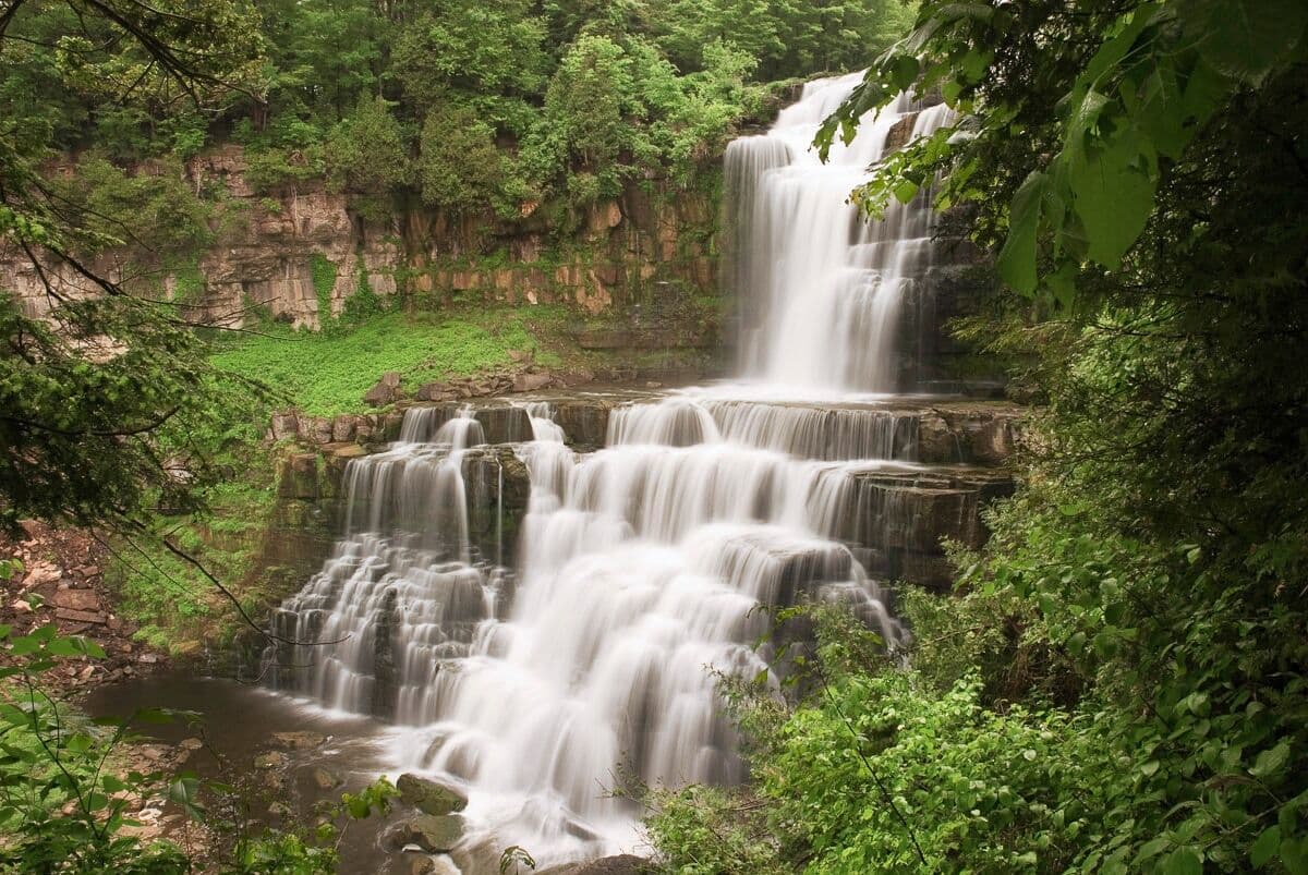 Fototapete PAPERMOON "Wasserfall im Wald", bunt, B:2m L:1,49m, Vlies, Tapeten, Fototapete bunt B/L: 2m x 1,49m, Bahnen: 4 Stk.