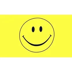 trends4cents Flagge SMILEY gelb 90 x 150 cm mit 2 Messingösen