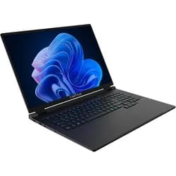 Captiva Highend Gaming I10-4652GE (18", 1000 GB, 64 GB, DE, Intel Core i9-14900HX), Notebook, Schwarz
