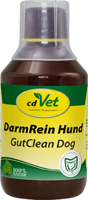 cdVet Naturprodukte GmbH DARMREIN f.Hunde 250 ml 09331394