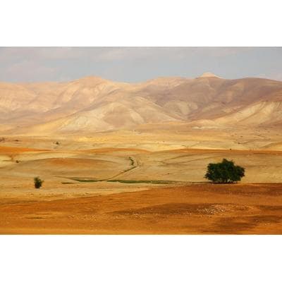 Fototapete PAPERMOON "Landschaft", bunt, B:5m L:2,8m, Vlies, Tapeten