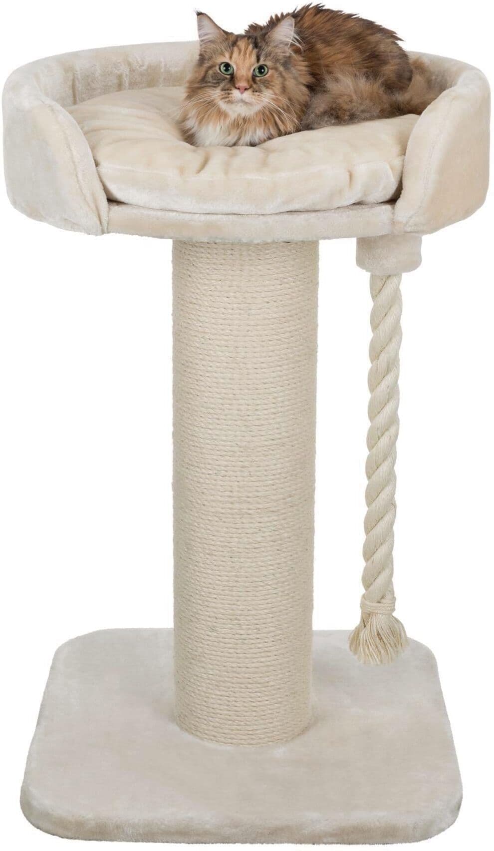 Kratzbaum TRIXIE, beige (beige, natur), B:60cm H:100cm T:60cm, Plüsch, Sisal, Kratzbäume, Kratzbaum beige, natur B/H/T: 60cm x 100cm x 60cm