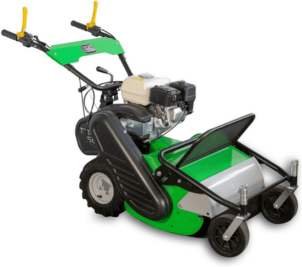 Lampacrescia - MGM Professioneller Schlegelmulcher Lampacrescia MGM TTR560 - Honda-Motor GX160