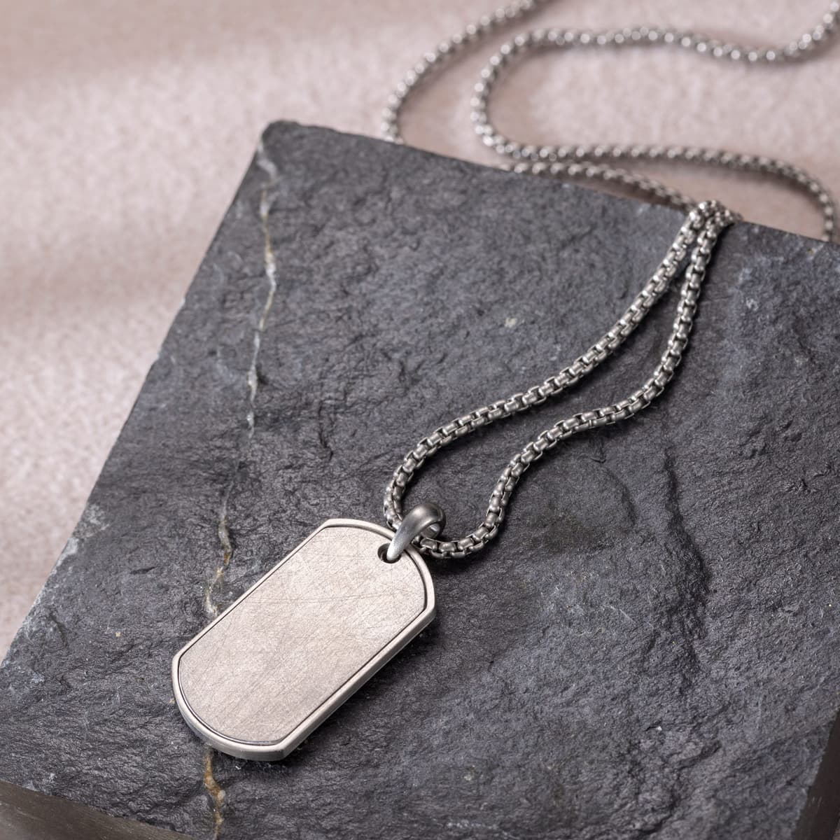 Kette mit Anhänger FIRETTI "Schmuck Geschenk Edelstahl Halsschmuck Halskette Dog Tag Ice", silber (edelstahlfarben), Halsketten, Herren, Edelstahl, L: 65, Kette mit Anhänger edelstahlfarben Edelstahl, L: 65
