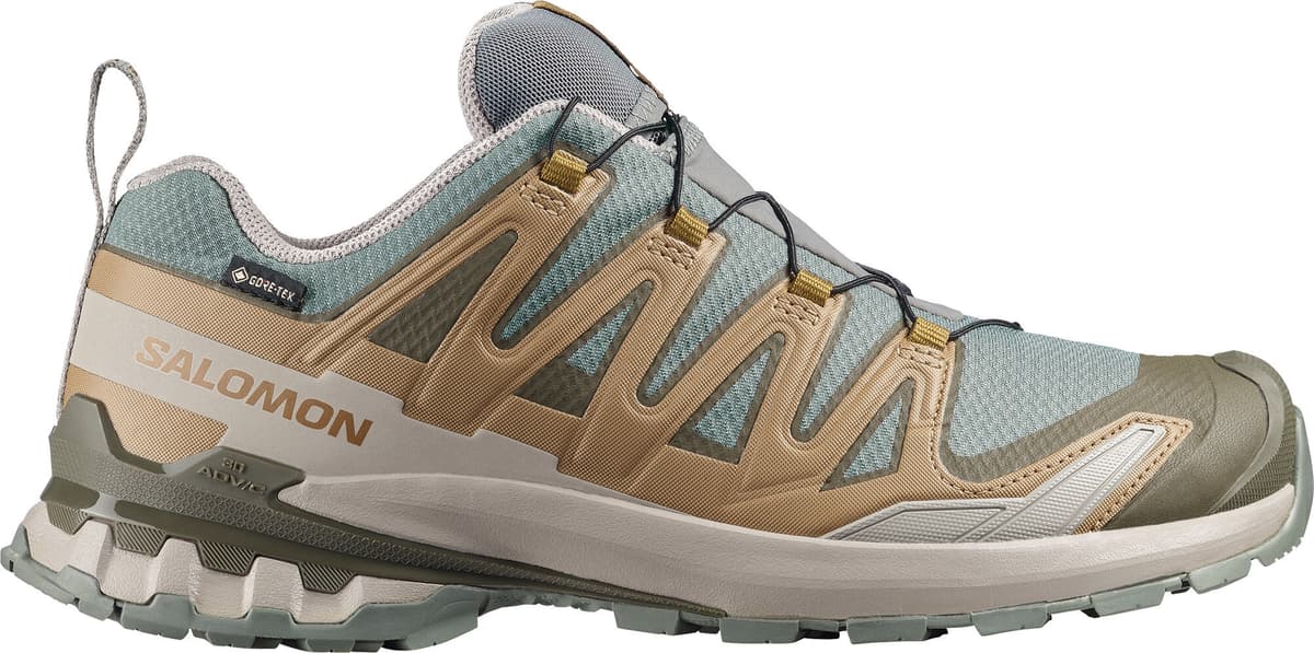 Salomon Men's XA 3D Pro V9 GORE-TEX Sedona Sage/Plantation/Paloma Sedona Sage / Plantation / Paloma 49 1/3