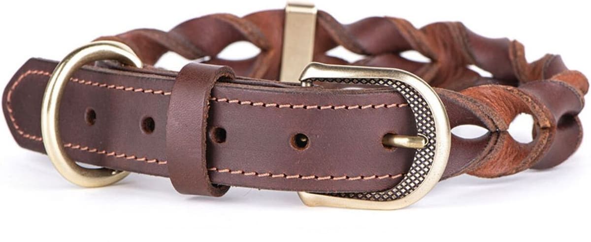 MyFamily Collare per Cani in Cuoio Ingrassato Marrone Ascot con Finiture in Ottone Inglese ML (37-45cm)