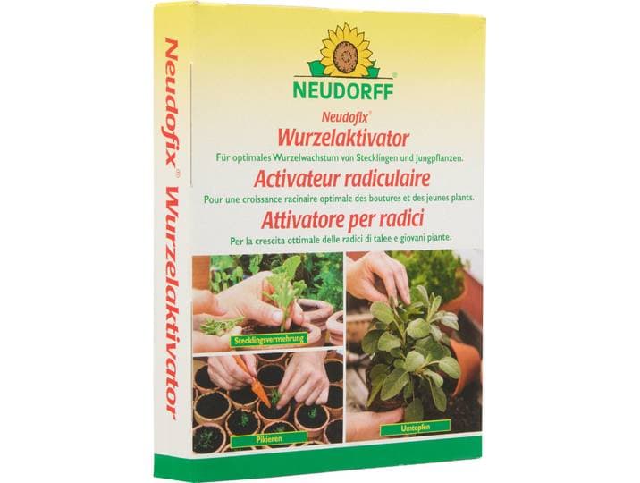 Neogard Wurzelaktivator Neudofix