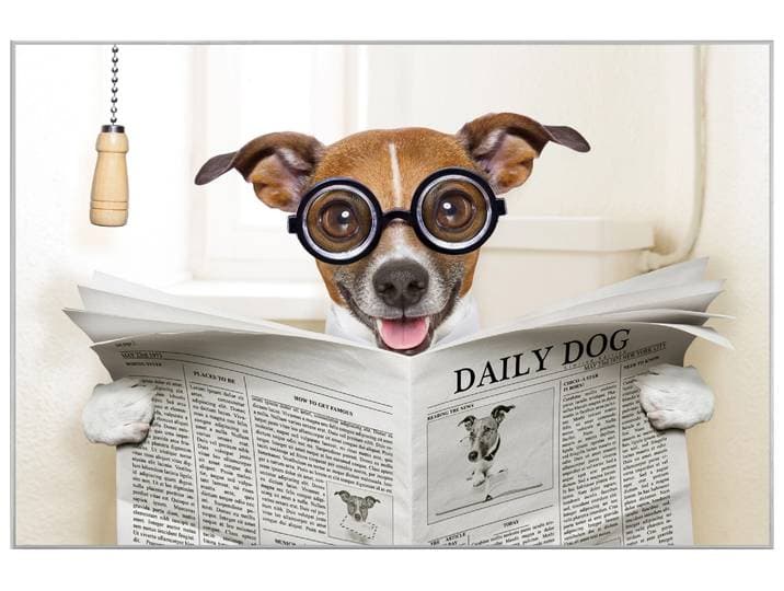 Bild mit Rahmen Hund mit Zeitung image LAND