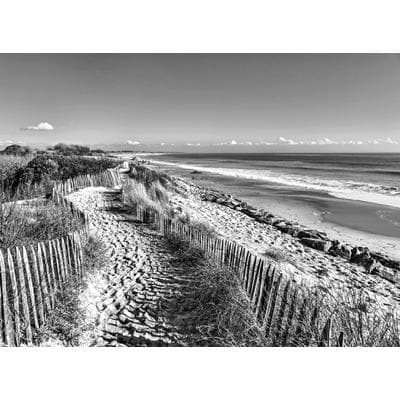 Fototapete PAPERMOON "Strand Schwarz & Weiß", schwarz (schwarz, weiß), B:5m L:2,8m, Vlies, Tapeten