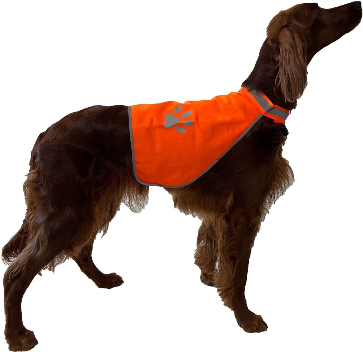 North Trail Dogwear Refleksvest Orange L