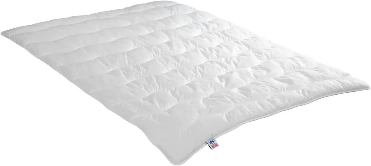 IRISETTE Leicht-Steppbett   ¦ weiß ¦ Maße (cm): B: 200 H: 2