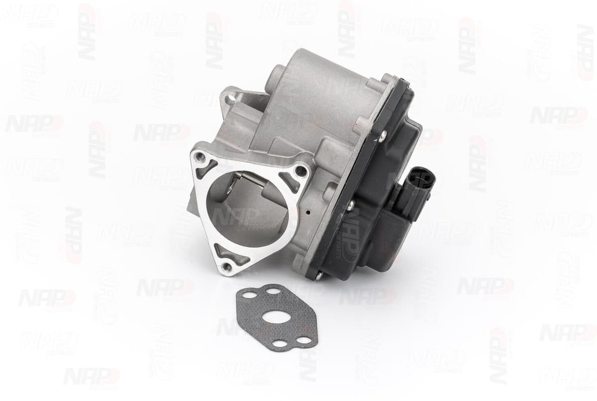 Nap Agr-Ventil Cav10071 Für Seat Vag Dodge Skoda Jeep
