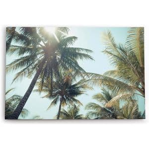 Sinus-Art Wandbild Palmen, Leinwand, Querformat, 120 x 80 cm