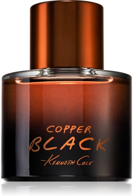 Kenneth Cole Copper Black Eau de Toilette for men 100 ml