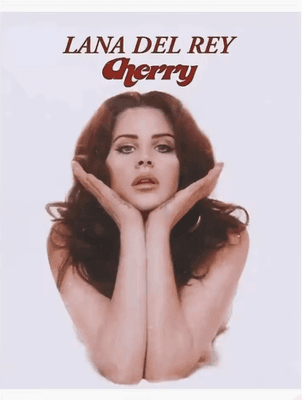 Inspire Picks Lana Del Rey Aesthetic Poster Album Cover Canvas Wall Art 2 50x70cm No Frame