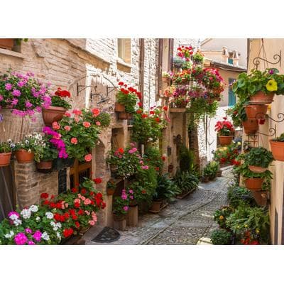 Fototapete PAPERMOON "Flower Alley in Spello", bunt, B:3m L:2,23m, Vlies, Tapeten