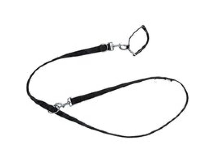 ZOOFARI® Collier et laisse pour chiens (noir, M)