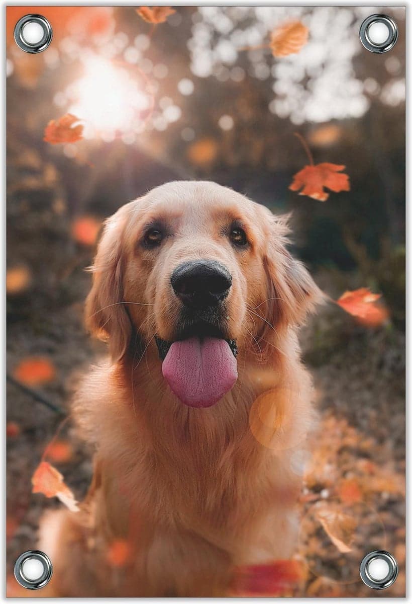 Tuinposter Hijgende Hond in Bos - Wanddecoratie voor binnen en buiten - 40 x 60 cm