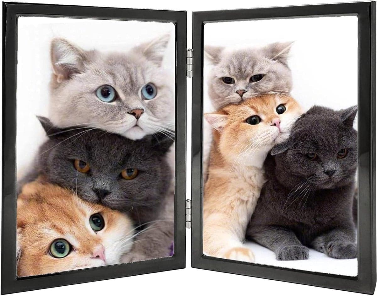 Zwarte dubbel scharnierende fotolijst van metaal en glas voor foto presentatie met dunne rand, 5x7 inch