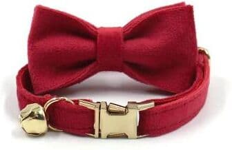 Uplift Essentials Custom Engraved Velvet Safety Cat Collar red Collar Bow l