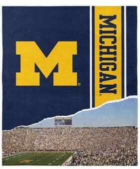 NCAA Big Ten Fanatic Microfiber Beach Towel
