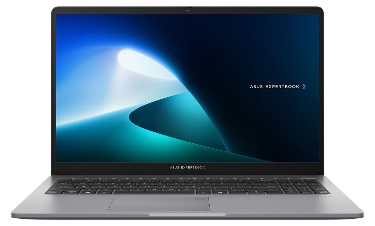 ASUS ExpertBook PM1 (Misty Grey, 15,6" Full-HD, AMD Ryzen 5 150, 96 GB RAM, 250 GB SSD) mit Windows 11 Pro