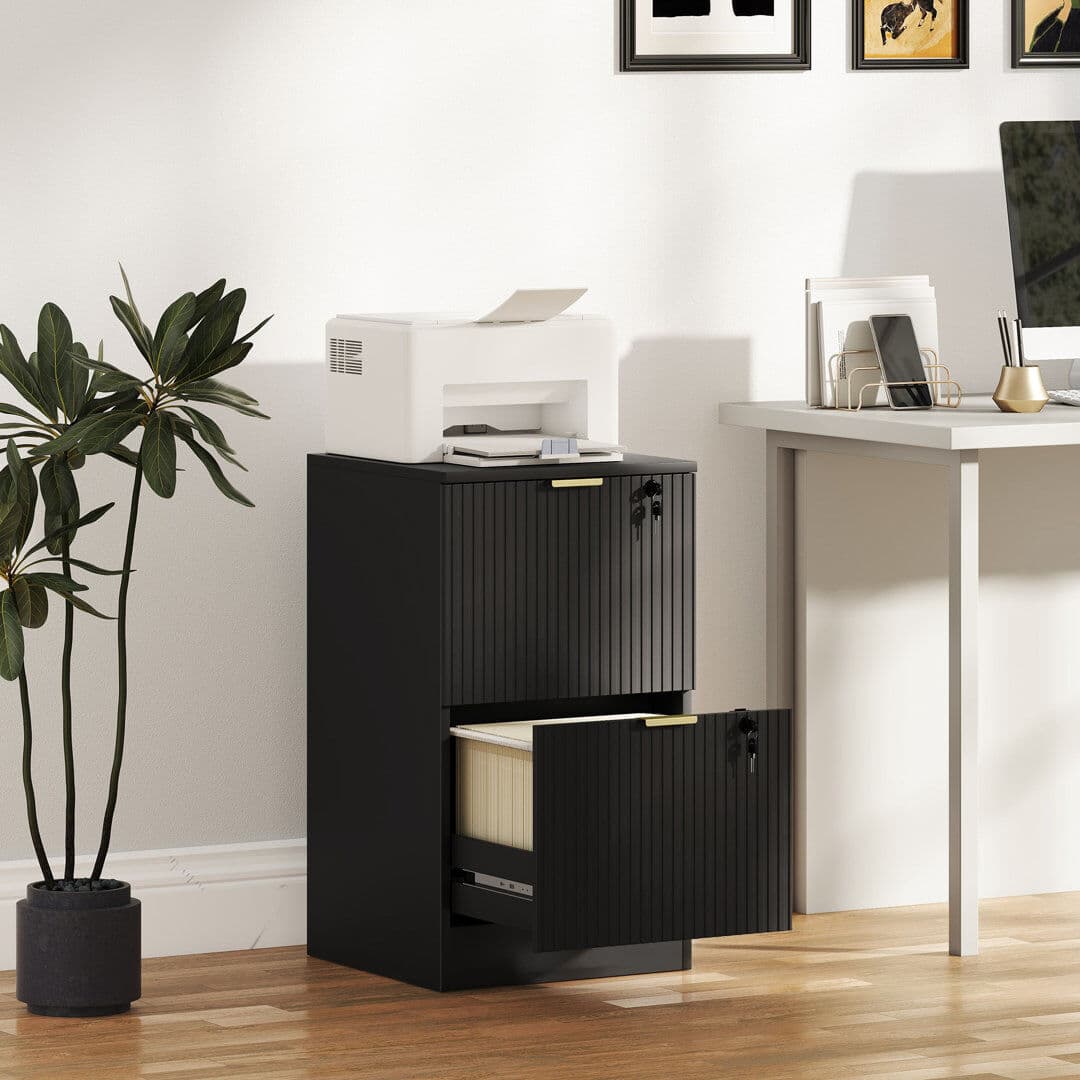17 Stories Cabinet, File Cabinet with 2 Lockable Drawers and Hanging Rails Black 71cm H x 40cm W x 40cm D