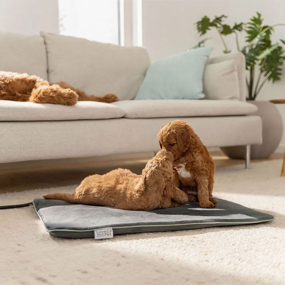 Beurer Cama Para Mascotas 4211125105440 Grey One Size