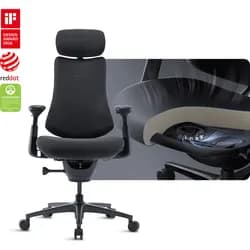LiberNovo Omni Pro dynamischer ergonomischer Stuhl - Basis-Set / Graphit / 48 cm