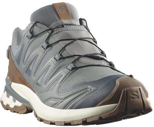 Salomon XA Pro 3D V9 GTX Lifelong Mens, Sedona Sage / Coyote Brown 46