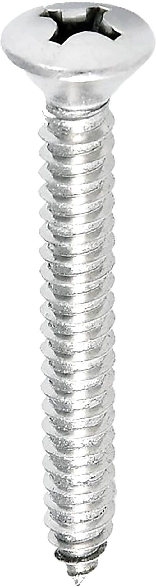 Tecnomat AUTOFILETTANTI TESTA SVASATA Ø 4,2x25 mm INOX AISI 316 12 PEZZI