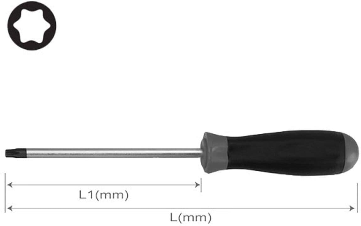 Hans Cacciavite TORX 0340T20X100
