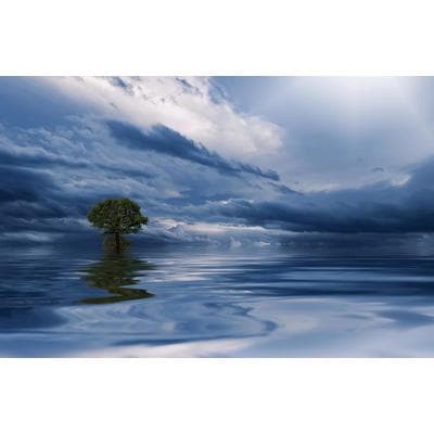 Fototapete PAPERMOON "MEER WOLKEN-BAUM BEACH STRAND PANORAMA HIMMEL WELLEN", bunt, B:4,5m L:2,8m, Vlies, Tapeten