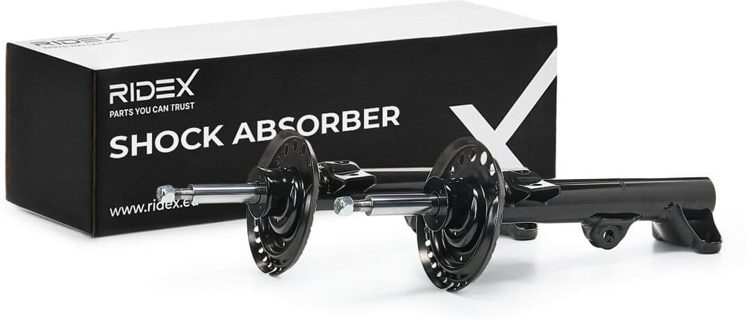 RIDEX 854S19298 Amortizor